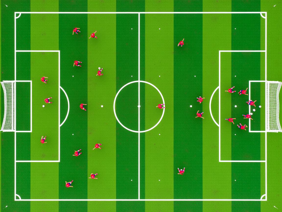 九游娱乐app官网-体能训练和乒乓球技术结合走向新高度，乒乓球体能技能的训练手段  第2张