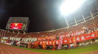 九游体育官网入口-“运动舞蹈:金牛区城北体育馆让你看到的不仅仅是舞蹈,更是灵魂与身体的交响” 第3张